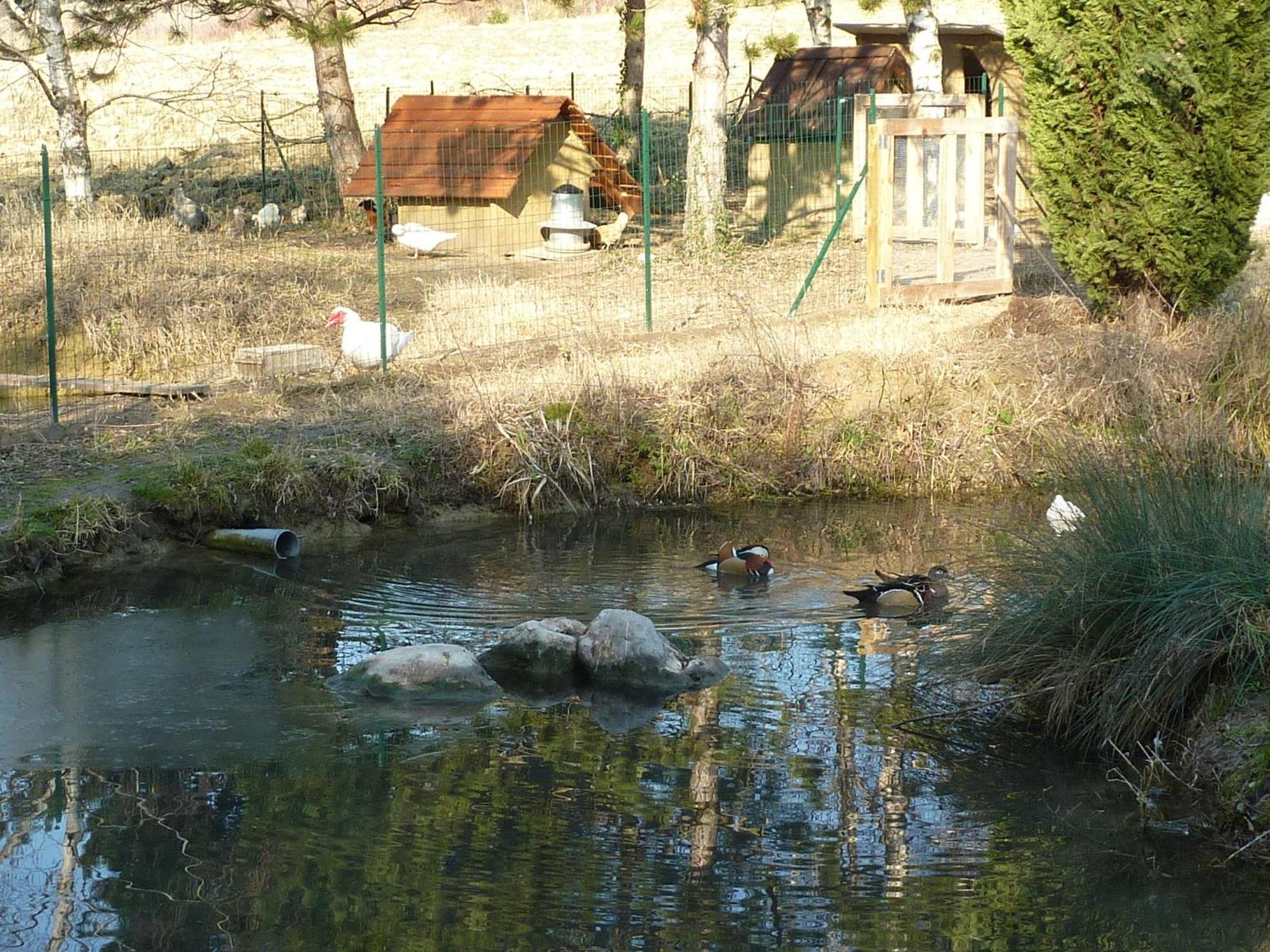 La Source, Vegetarian Guest House Chabeuil Exteriör bild